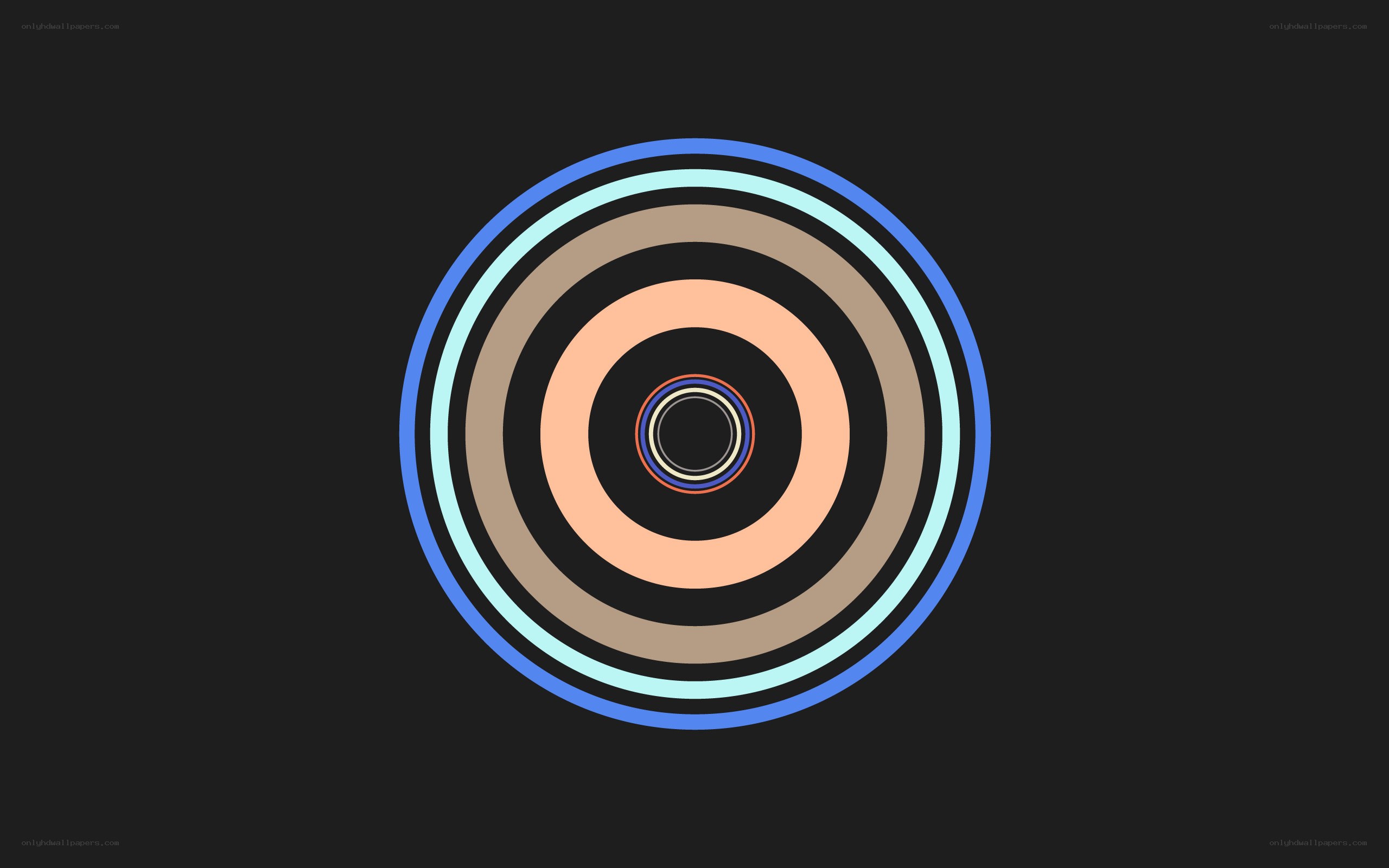 concentric circles design