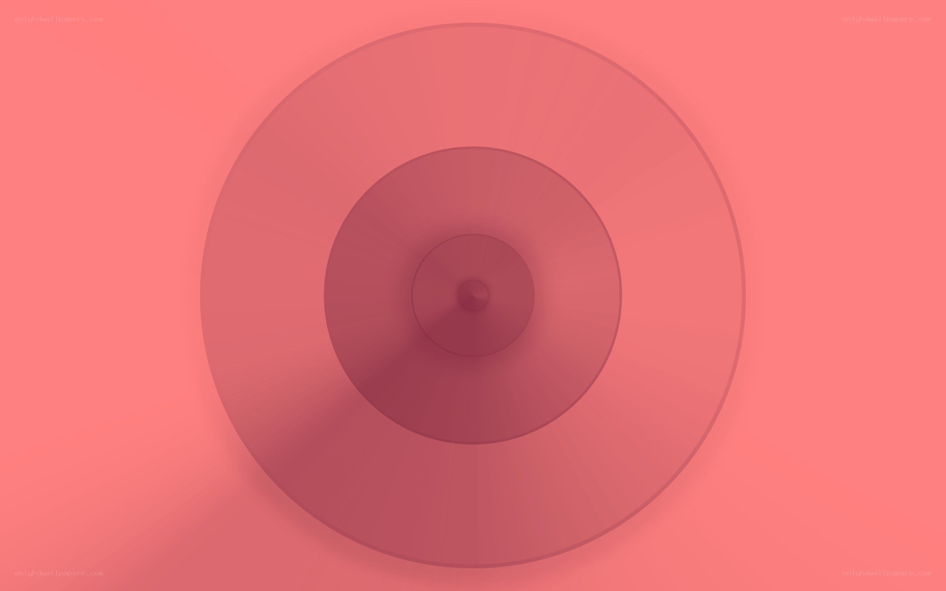 concentric circles on pink