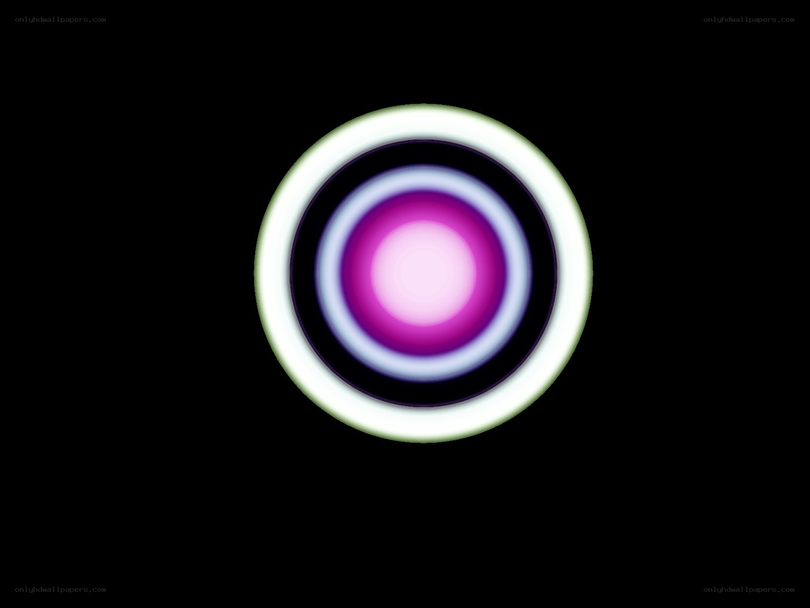 concentric circles with purple center