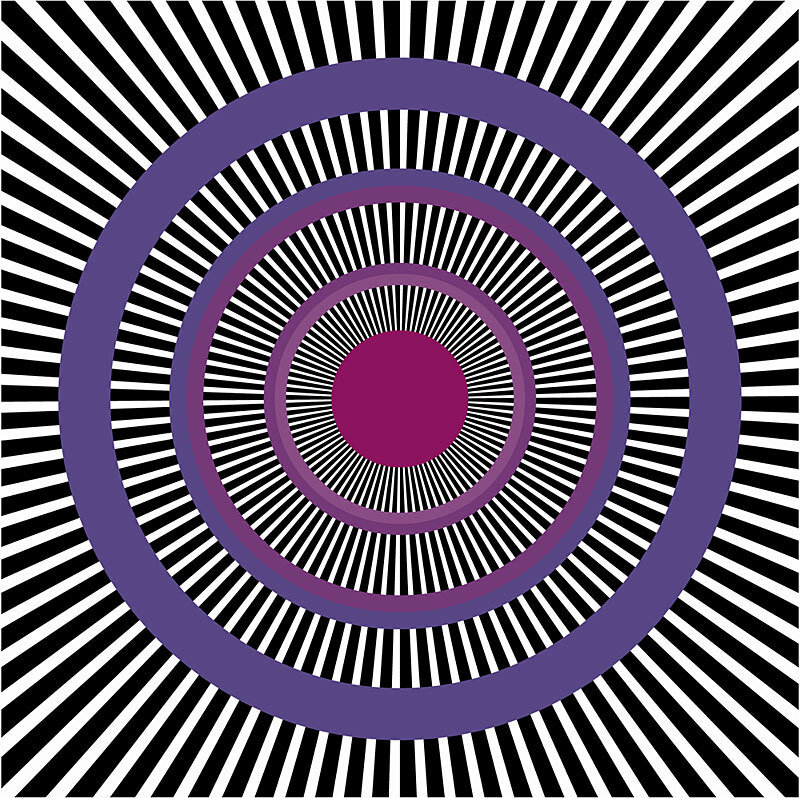 concentric circles with radial lines