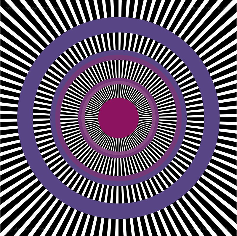 concentric circles with radial lines