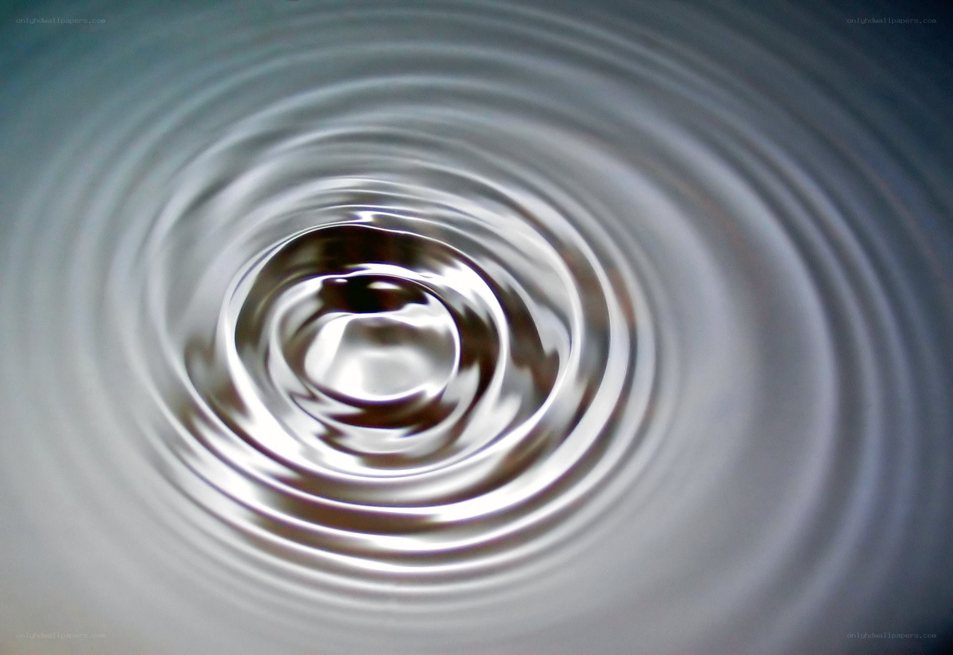concentric ripples on water