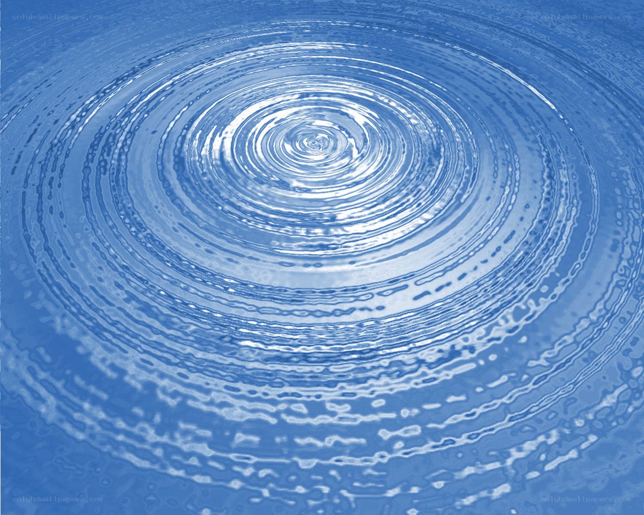 concentric ripples on water