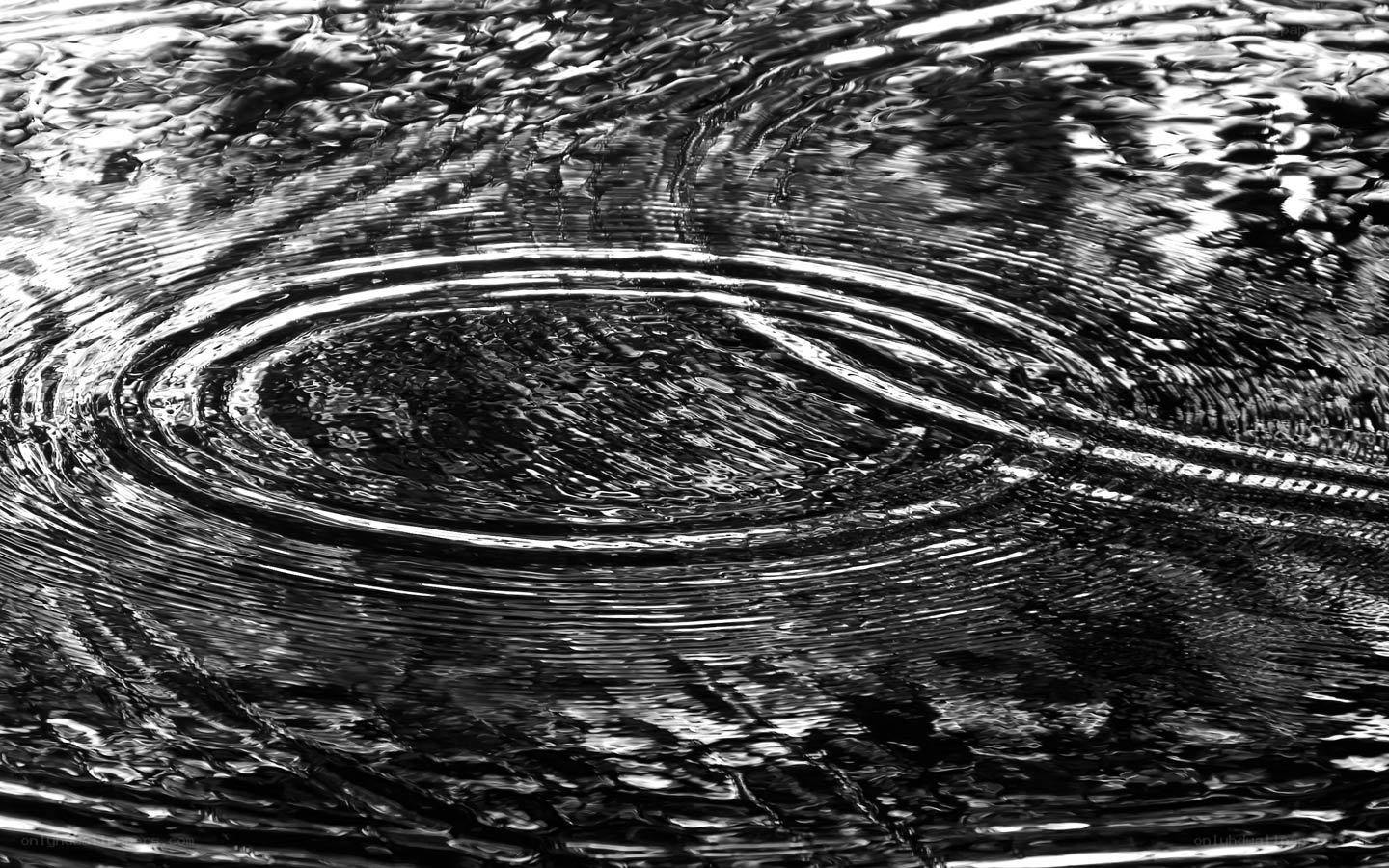 concentric ripples on water