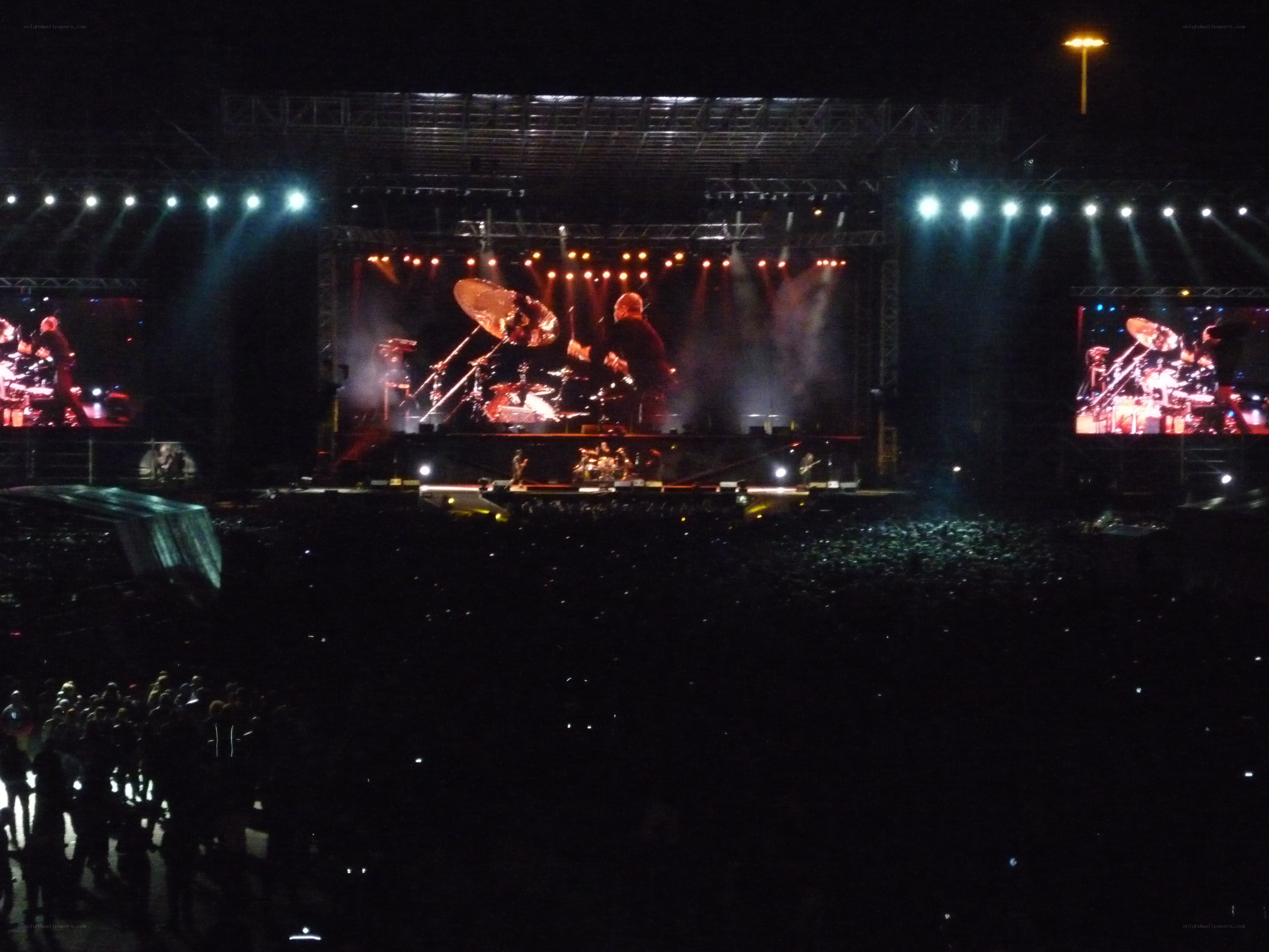 concert at night with crowd