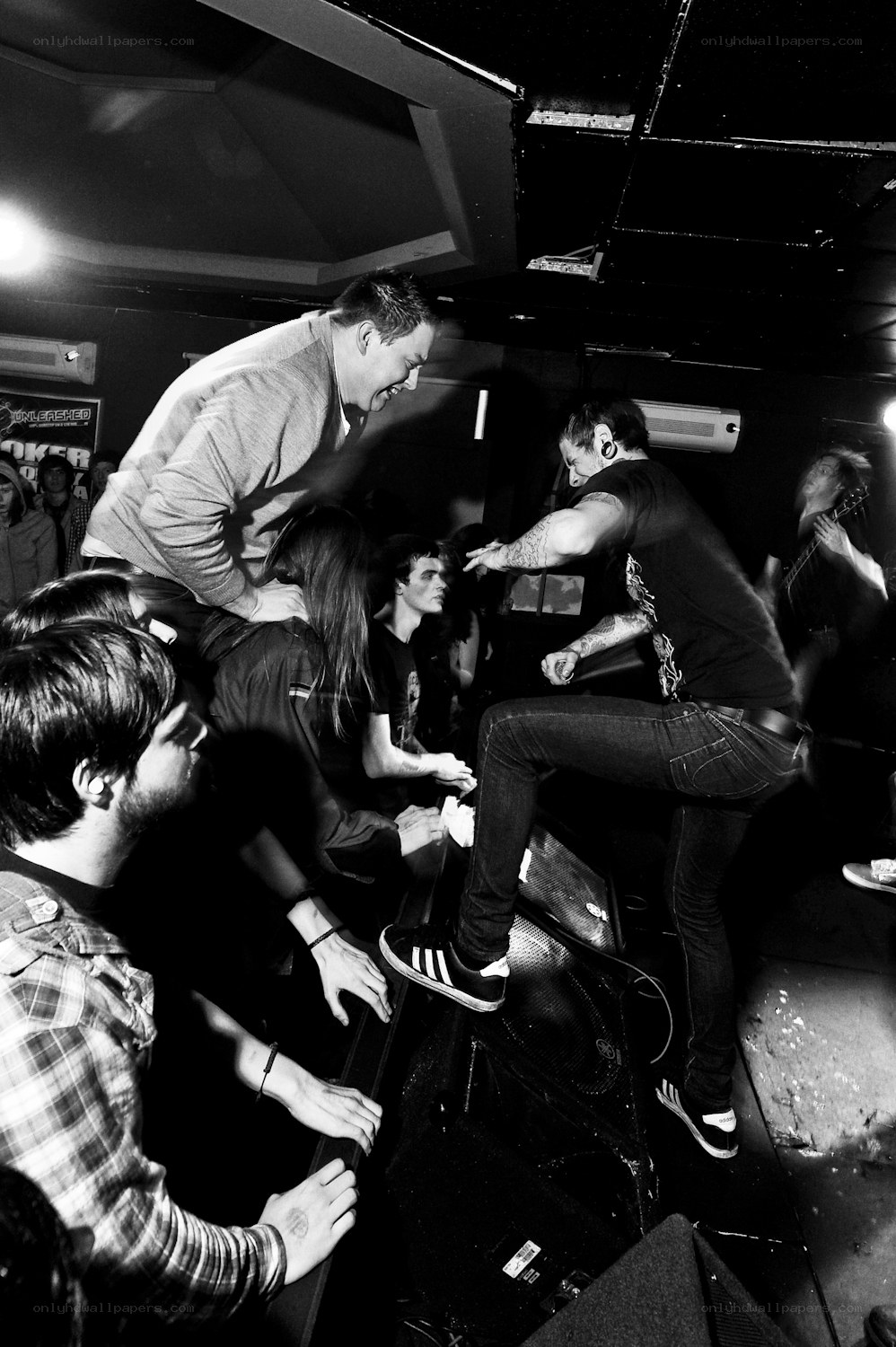 Concert crowd at a live show