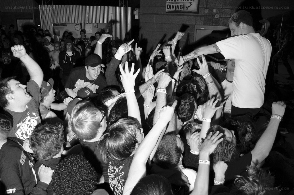 concert crowd moshing