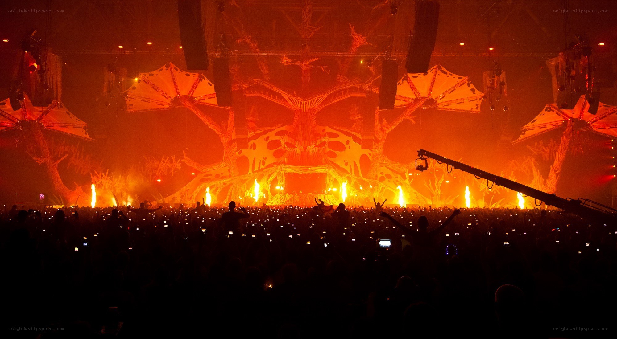 Concert crowd with fiery stage
