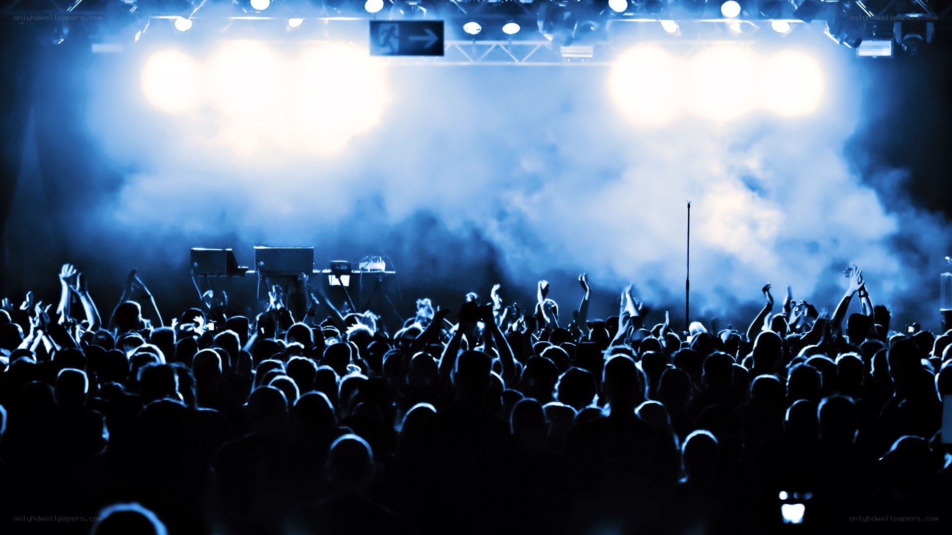 concert crowd with lights