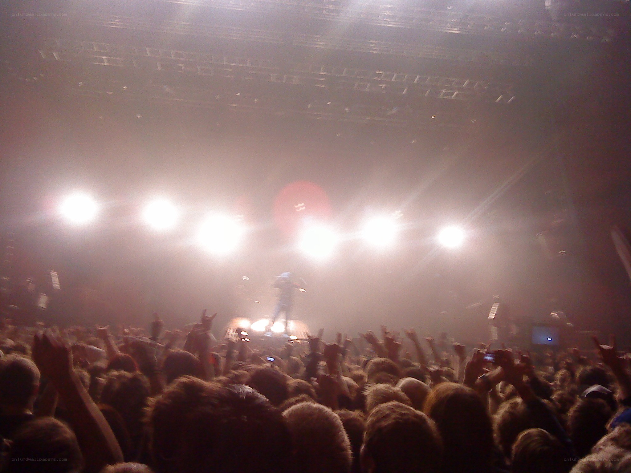 Concert crowd with raised hands