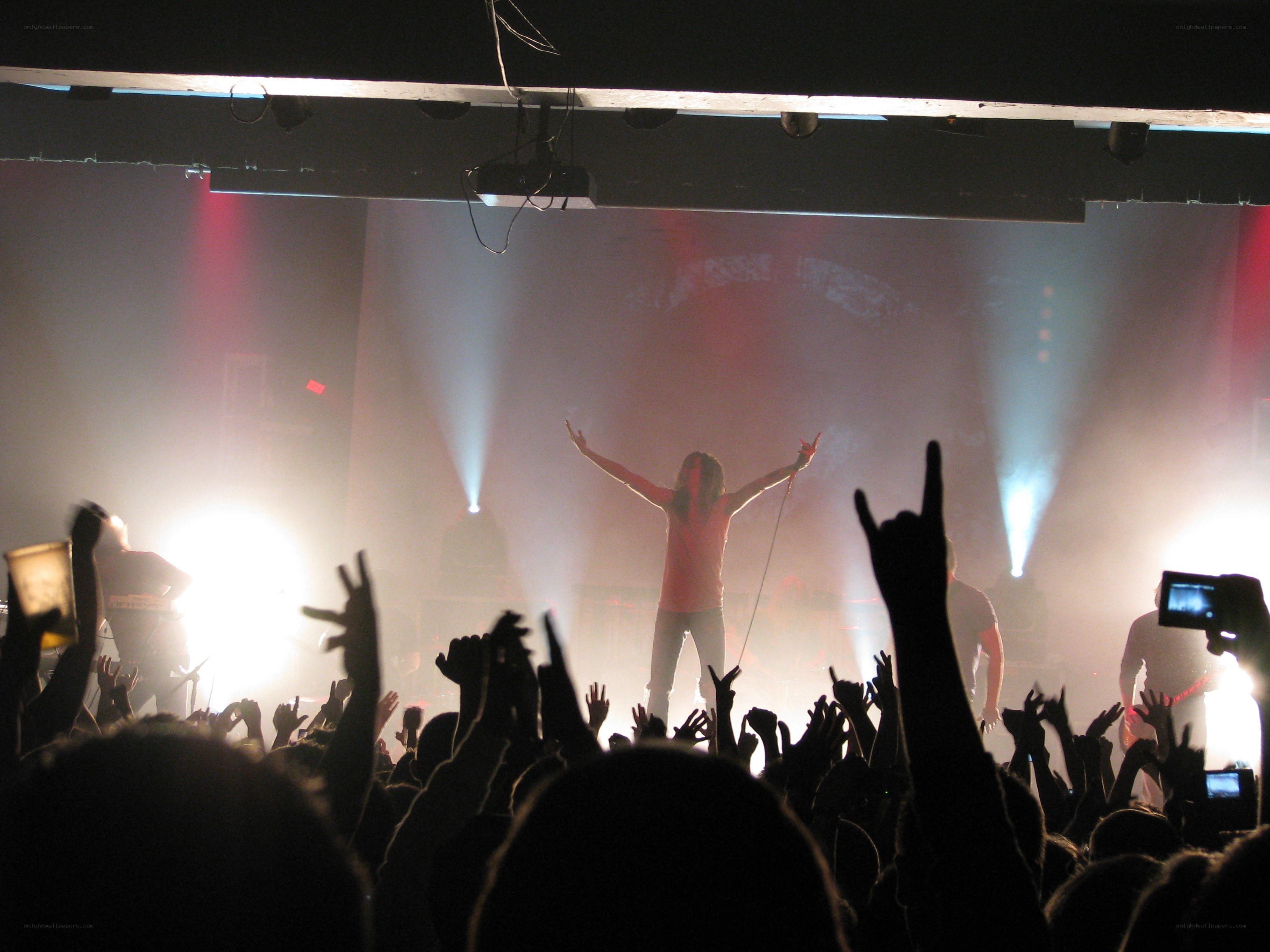 Concert crowd with raised hands