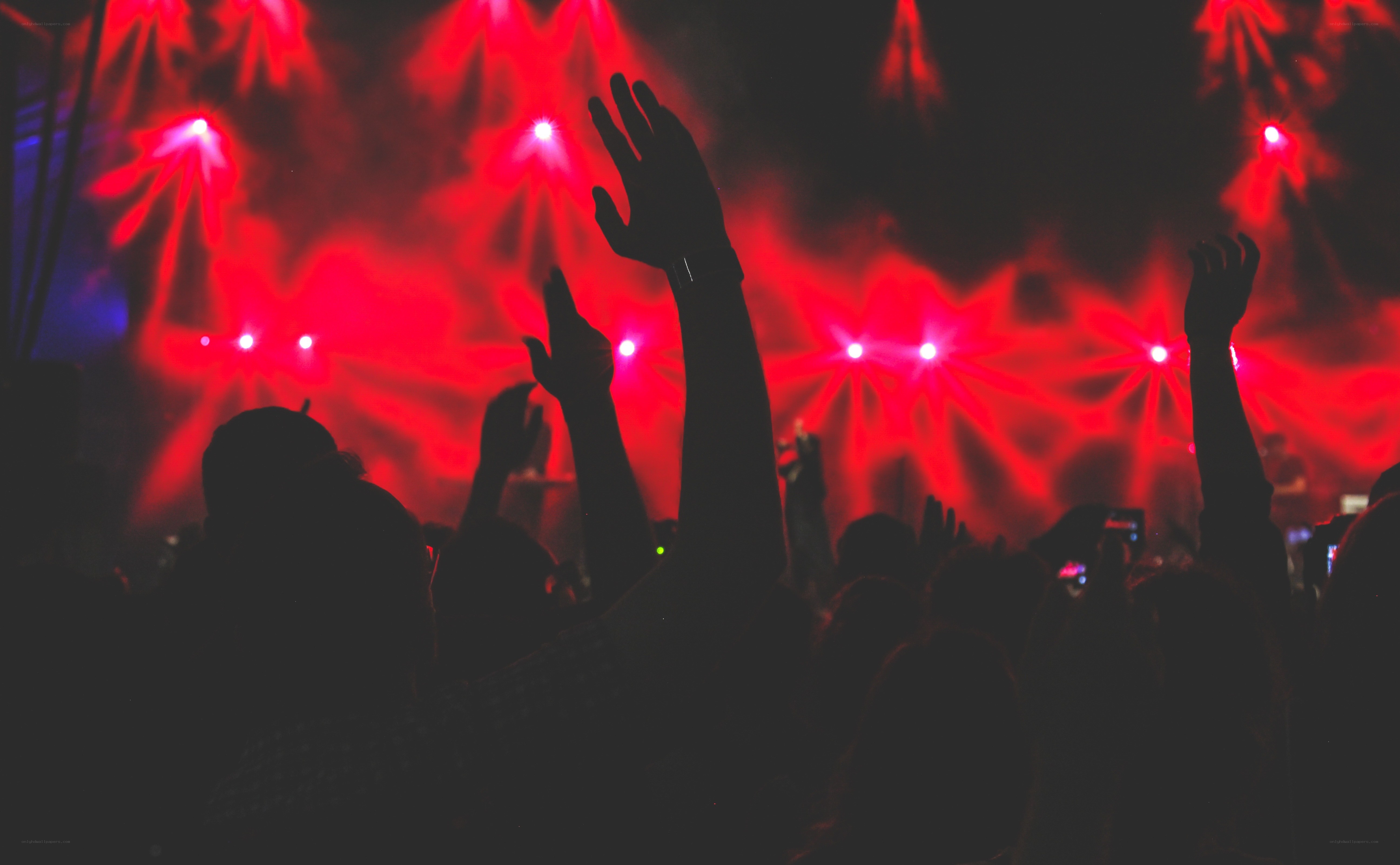 Concert crowd with raised hands
