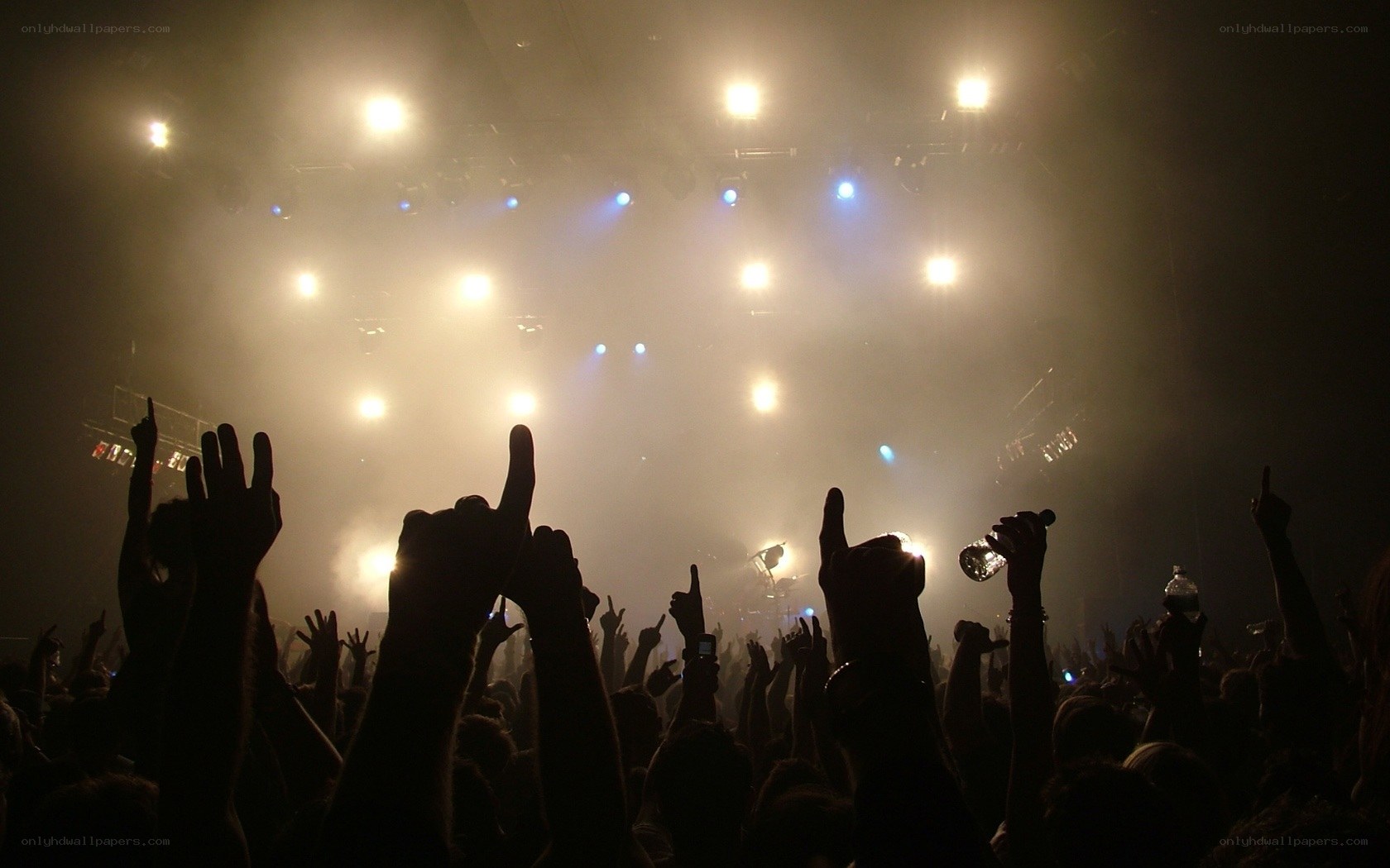Concert crowd with raised hands