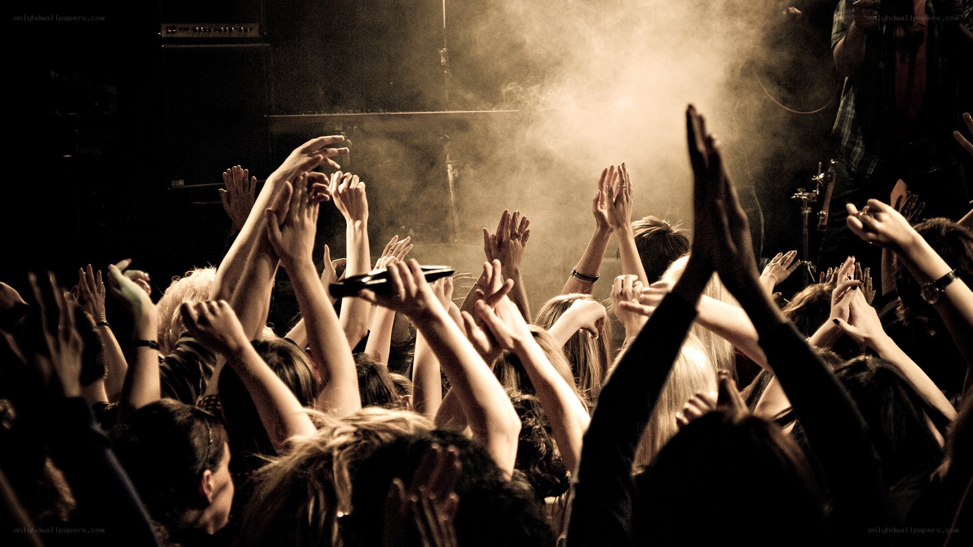 Concert crowd with raised hands