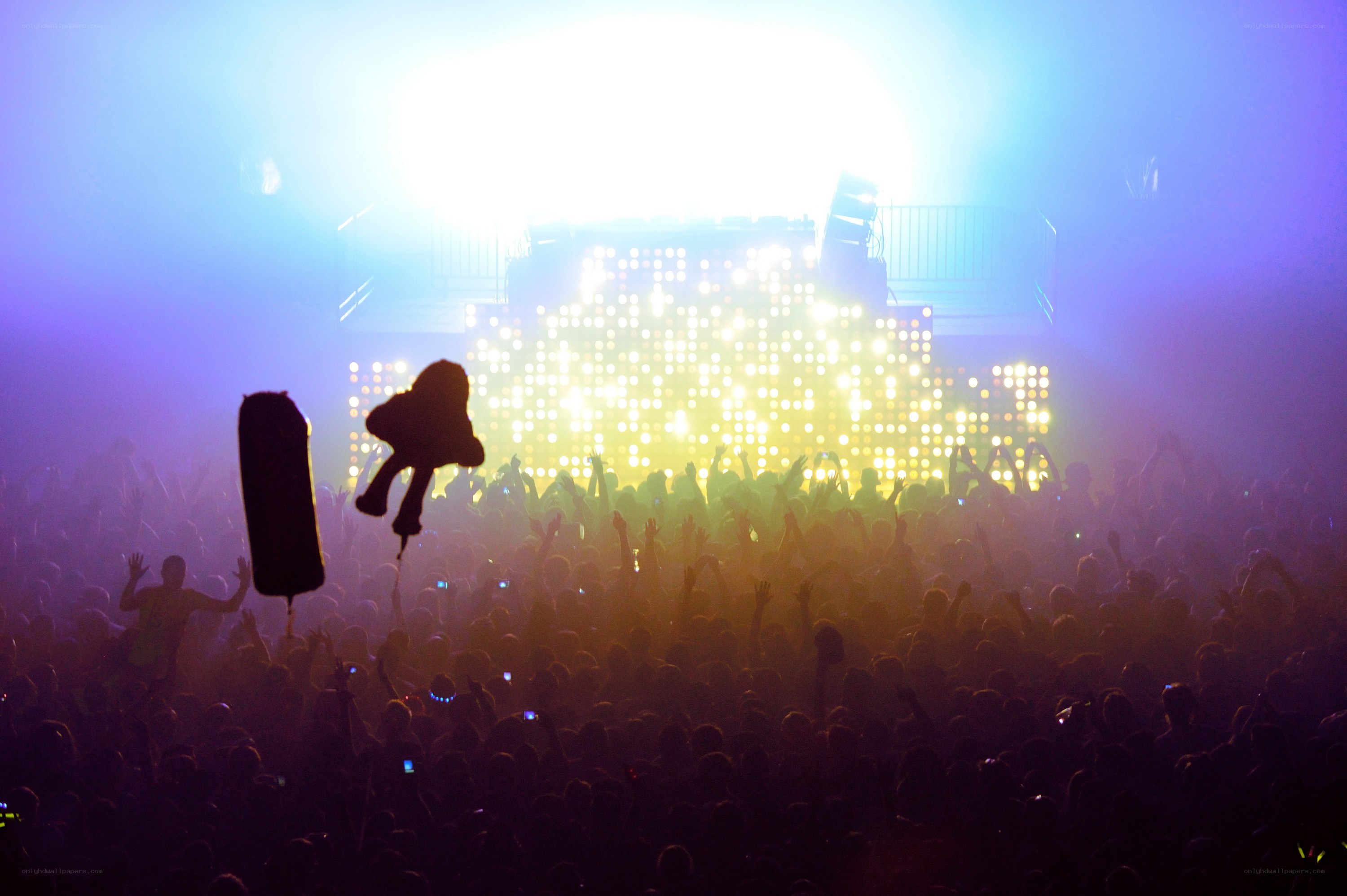 Concert crowd with silhouettes