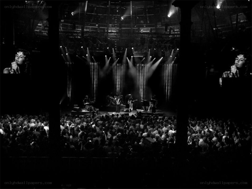 concert performance with large crowd
