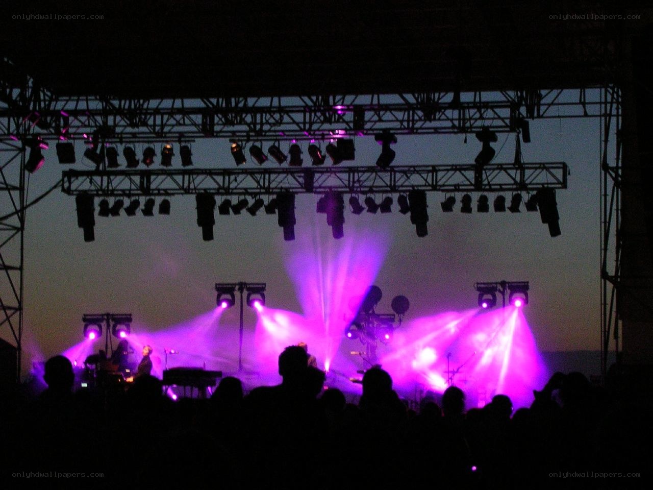 concert with purple lights