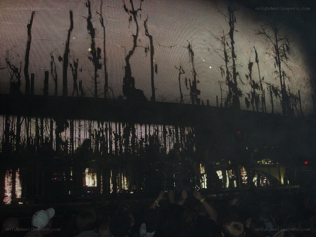 concert with silhouetted trees