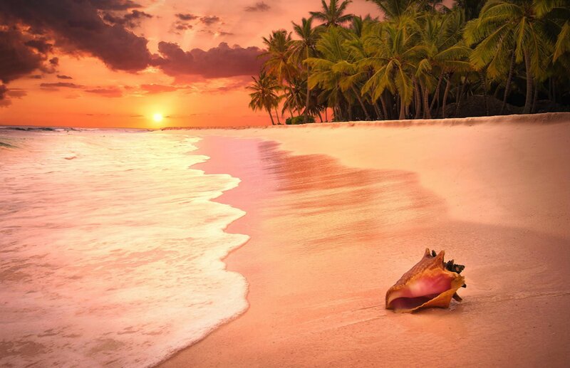 Conch Shell on Beach — Orange, Serene, Sunset