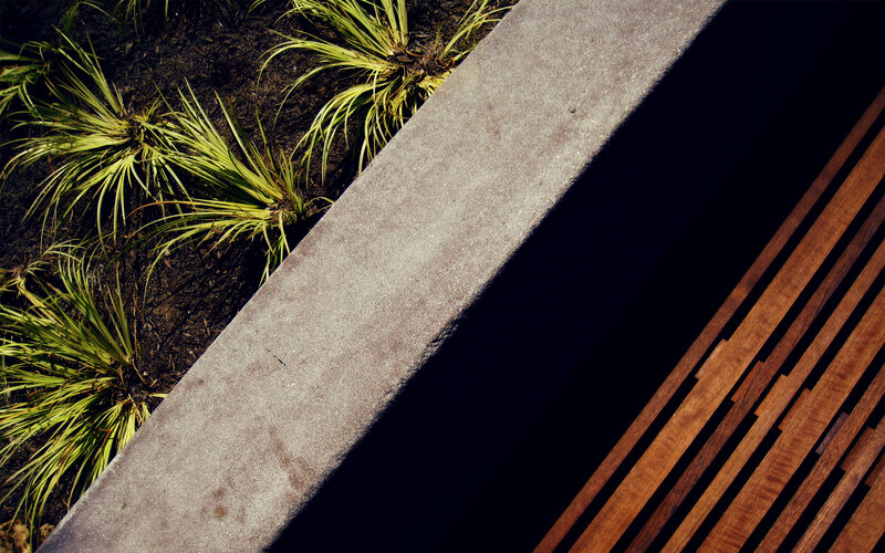 Concrete and wood bench with plants