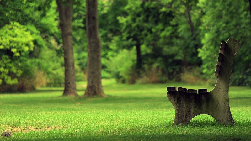 Concrete Bench in Park — Green