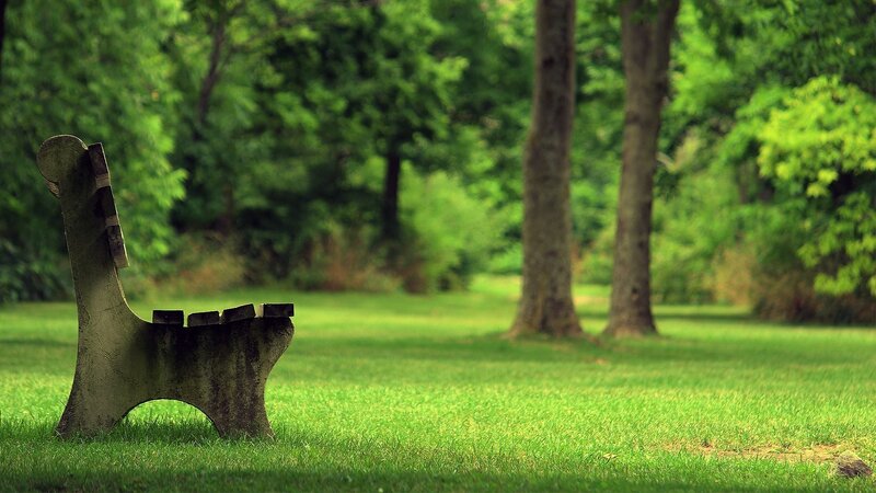Concrete Bench in Park