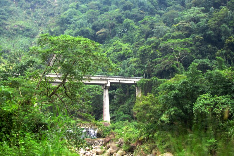 Concrete Bridge in Forest — Green