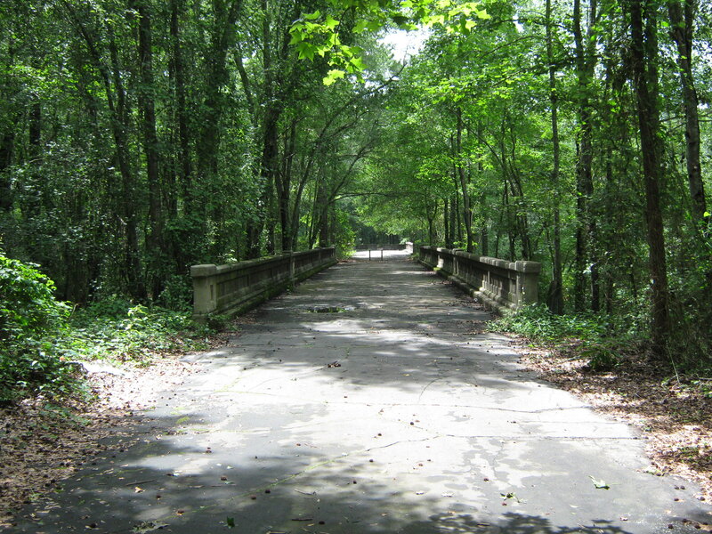 Concrete Bridge in Forest