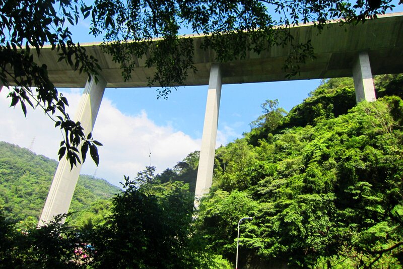 Concrete Bridge over Forest