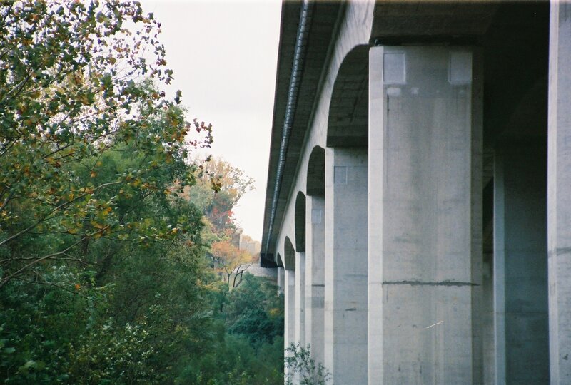 concrete bridge over trees