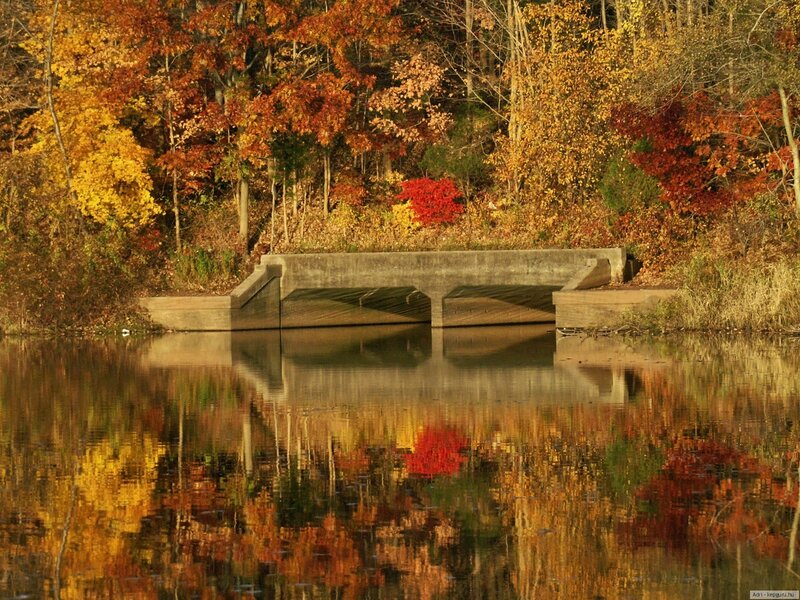 Concrete Bridge over Water — Yellow