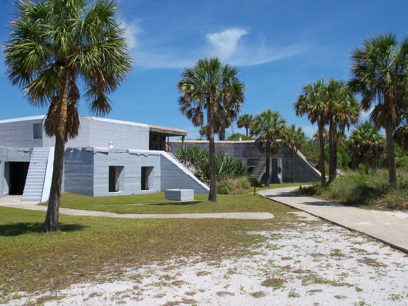 Concrete buildings with palm trees
