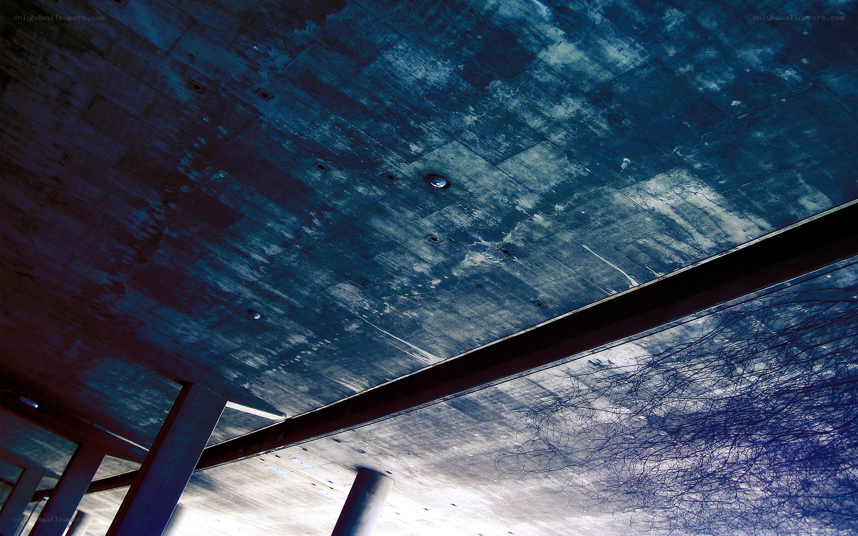 Concrete ceiling with tree branches