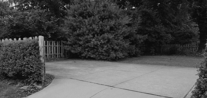 Concrete Driveway and Bushes