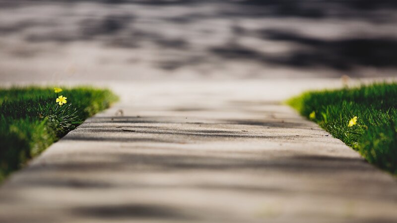 Concrete Path with Grass