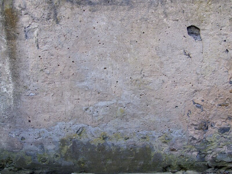 Concrete Wall Surface — Gray, Neutral