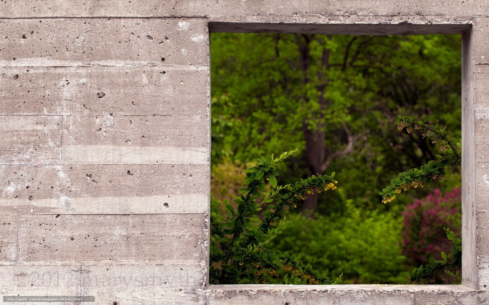 Concrete wall with green view