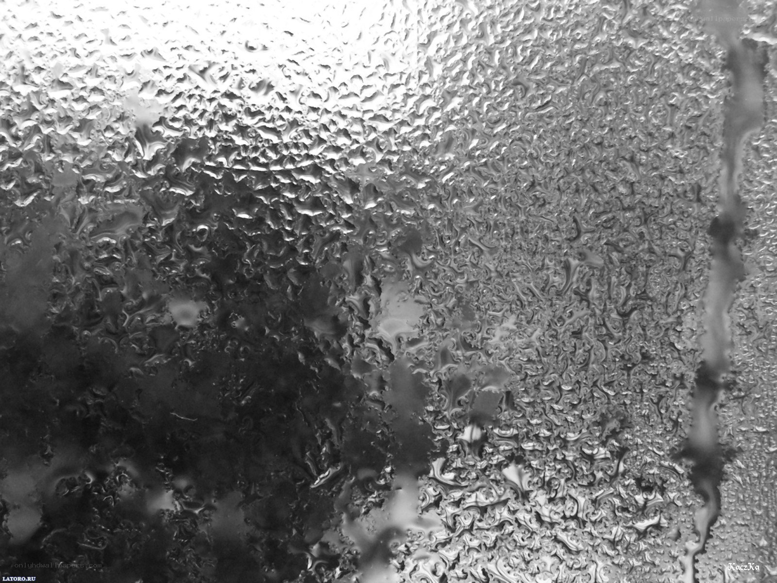 condensation on a glass surface