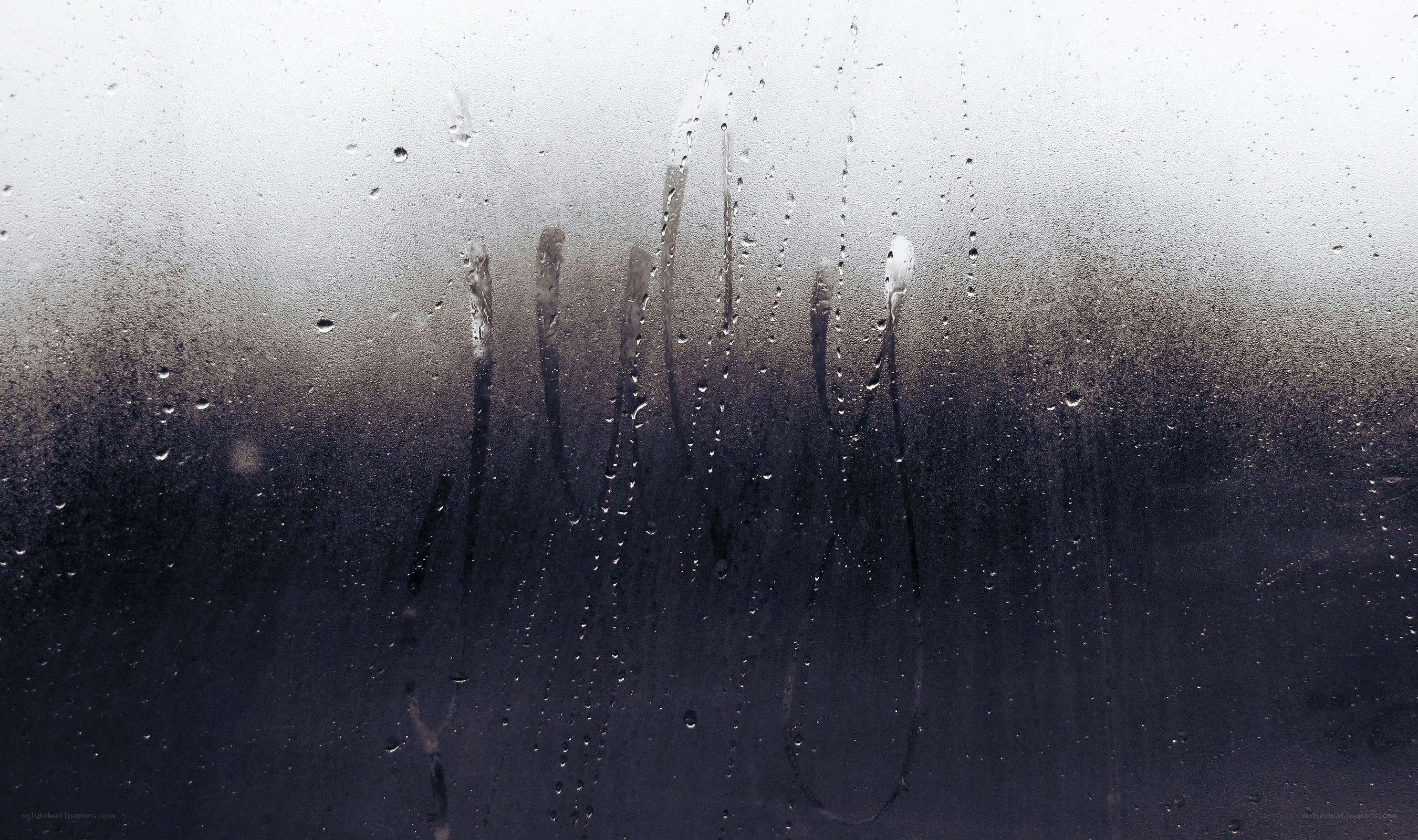 condensation on a glass surface