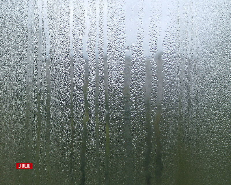 condensation on a glass surface