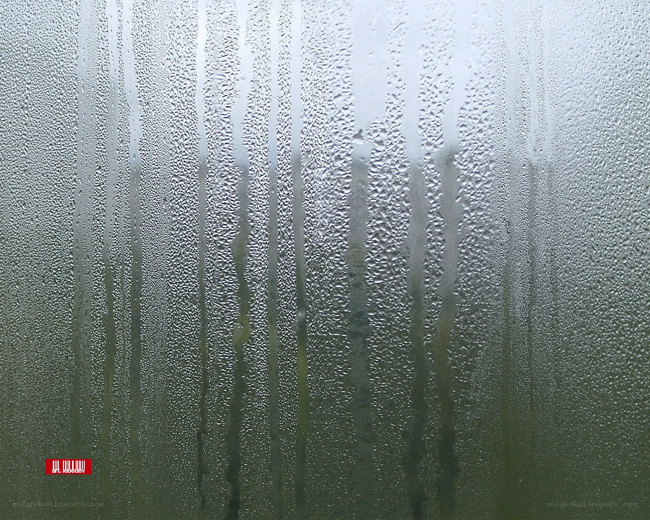 condensation on a glass surface