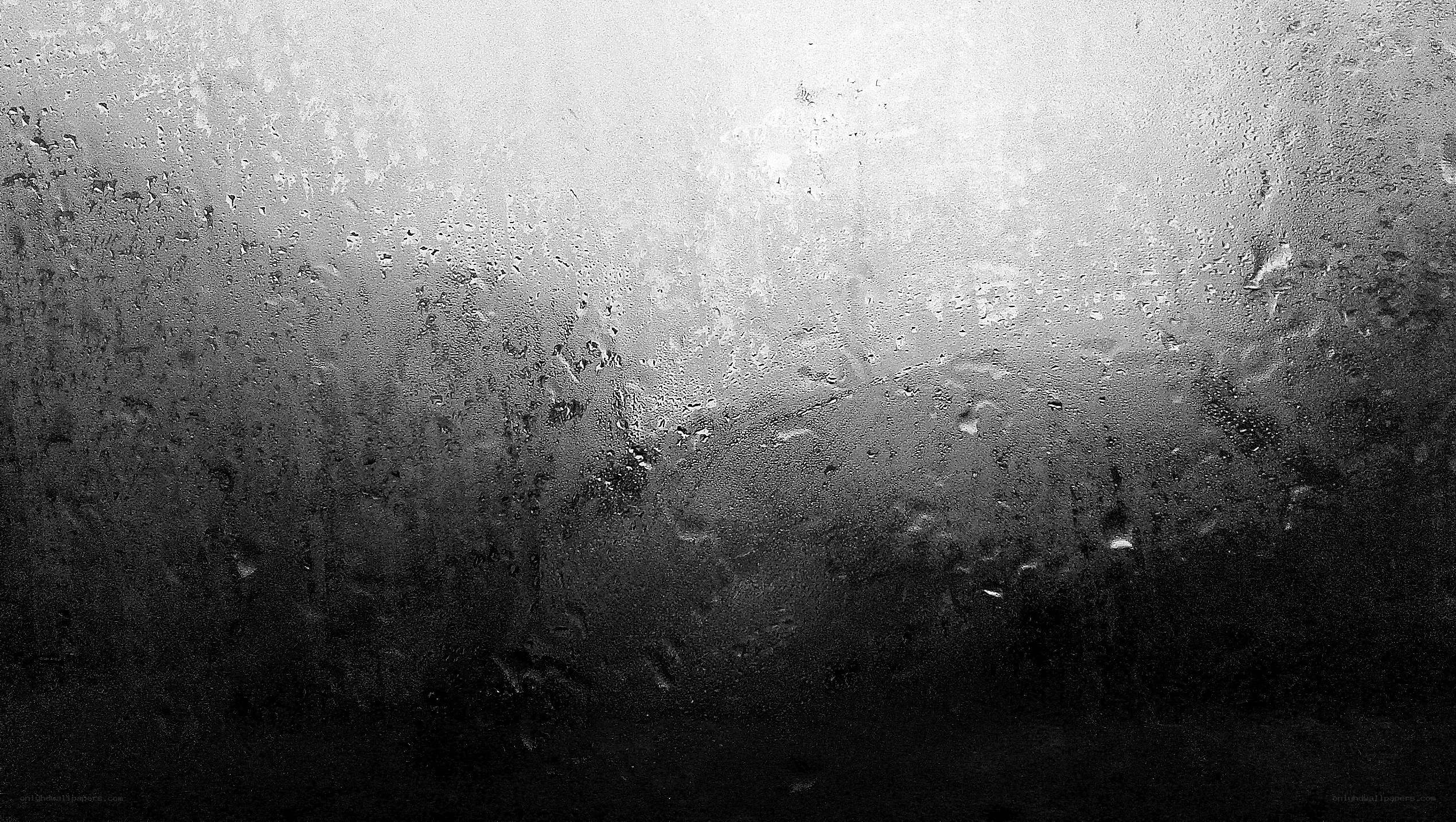 condensation on a glass surface