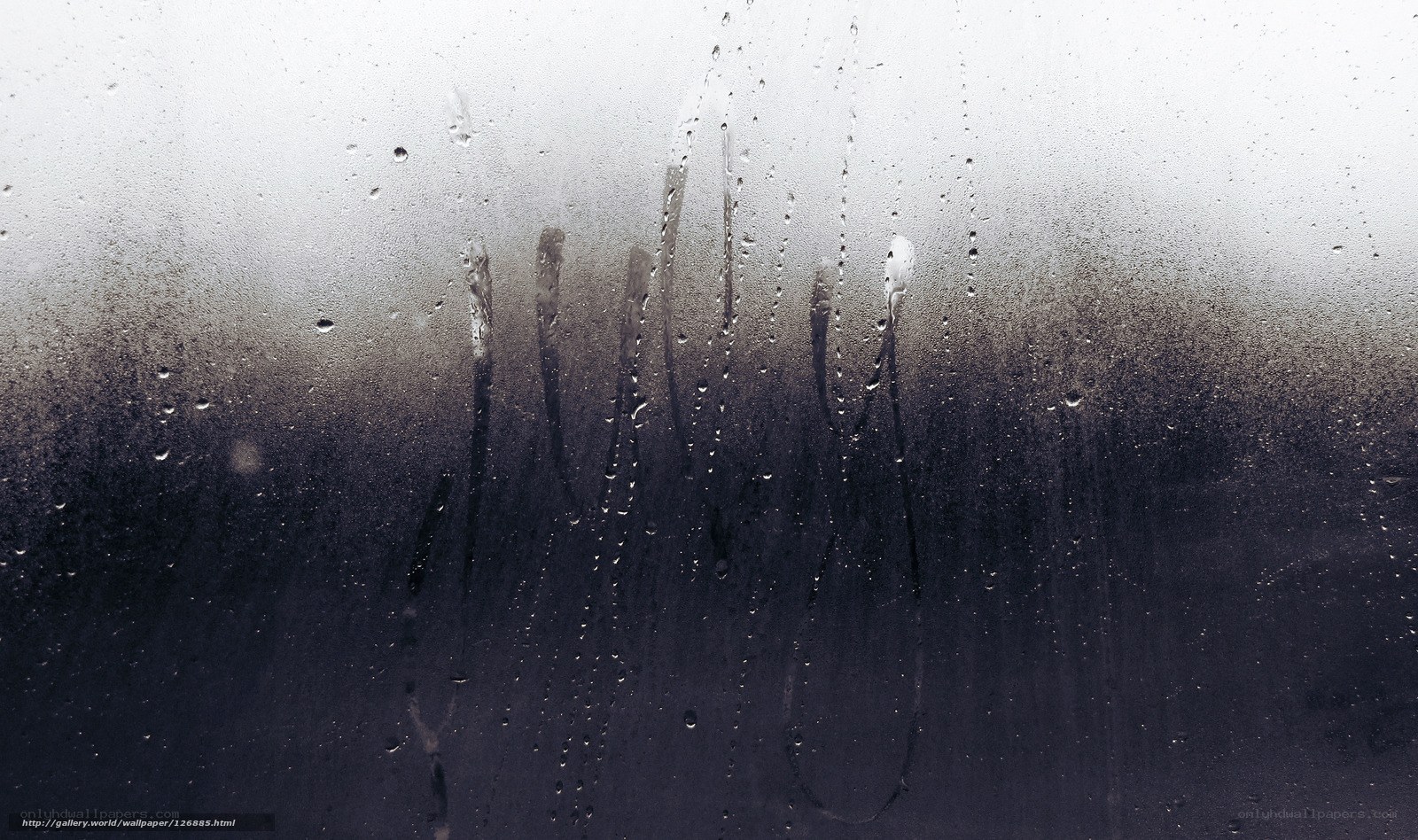 condensation on a glass surface