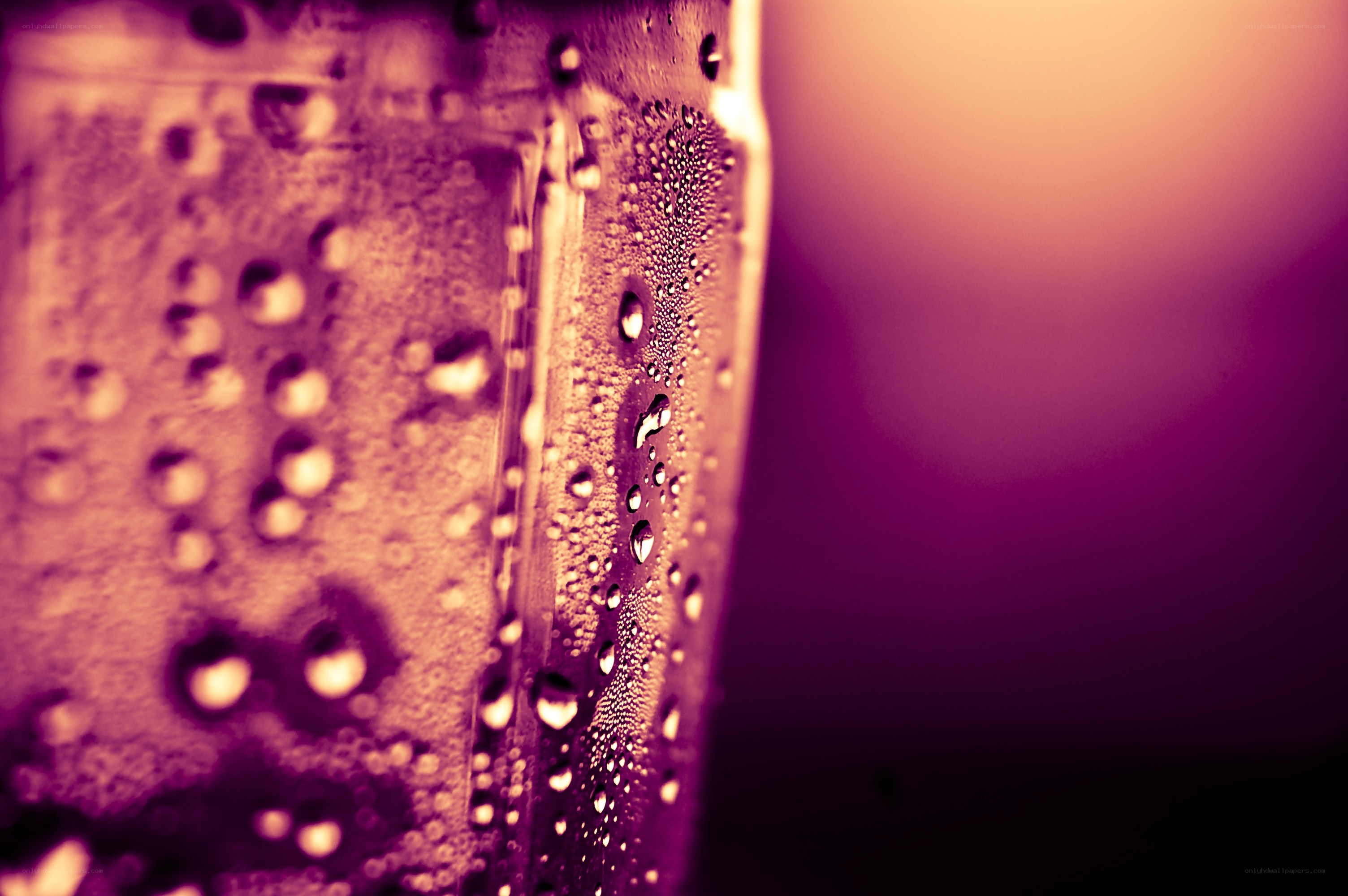condensation on a glass