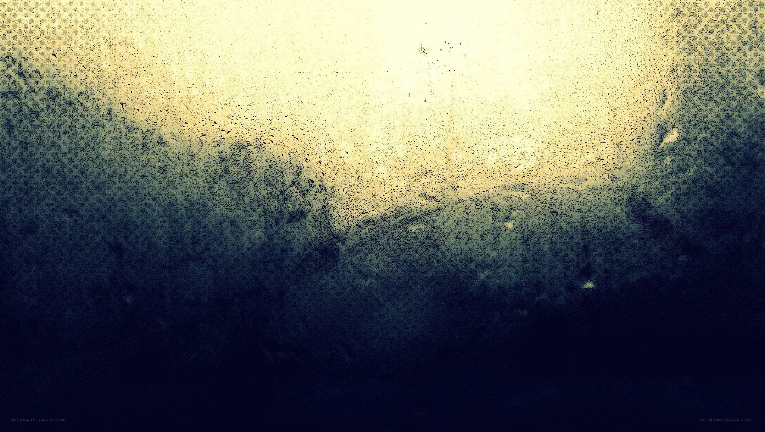 condensation on a window