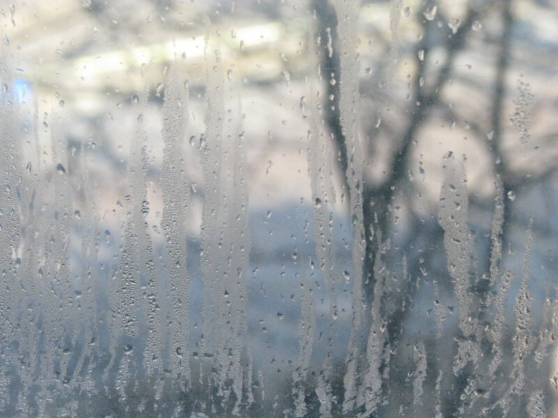 condensation on a window