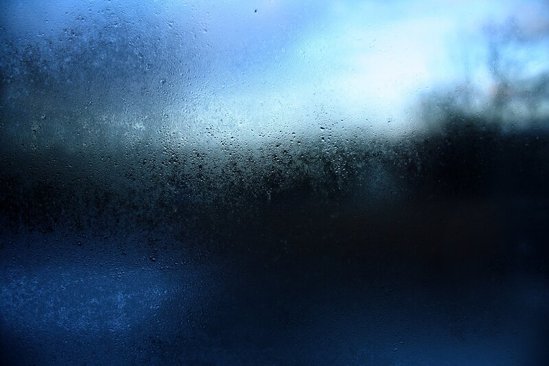 condensation on a window