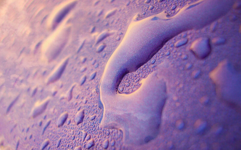 Condensation on Glass — Purple, Calm