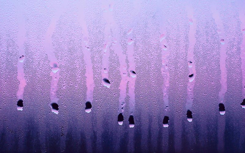 Condensation on Glass — Purple