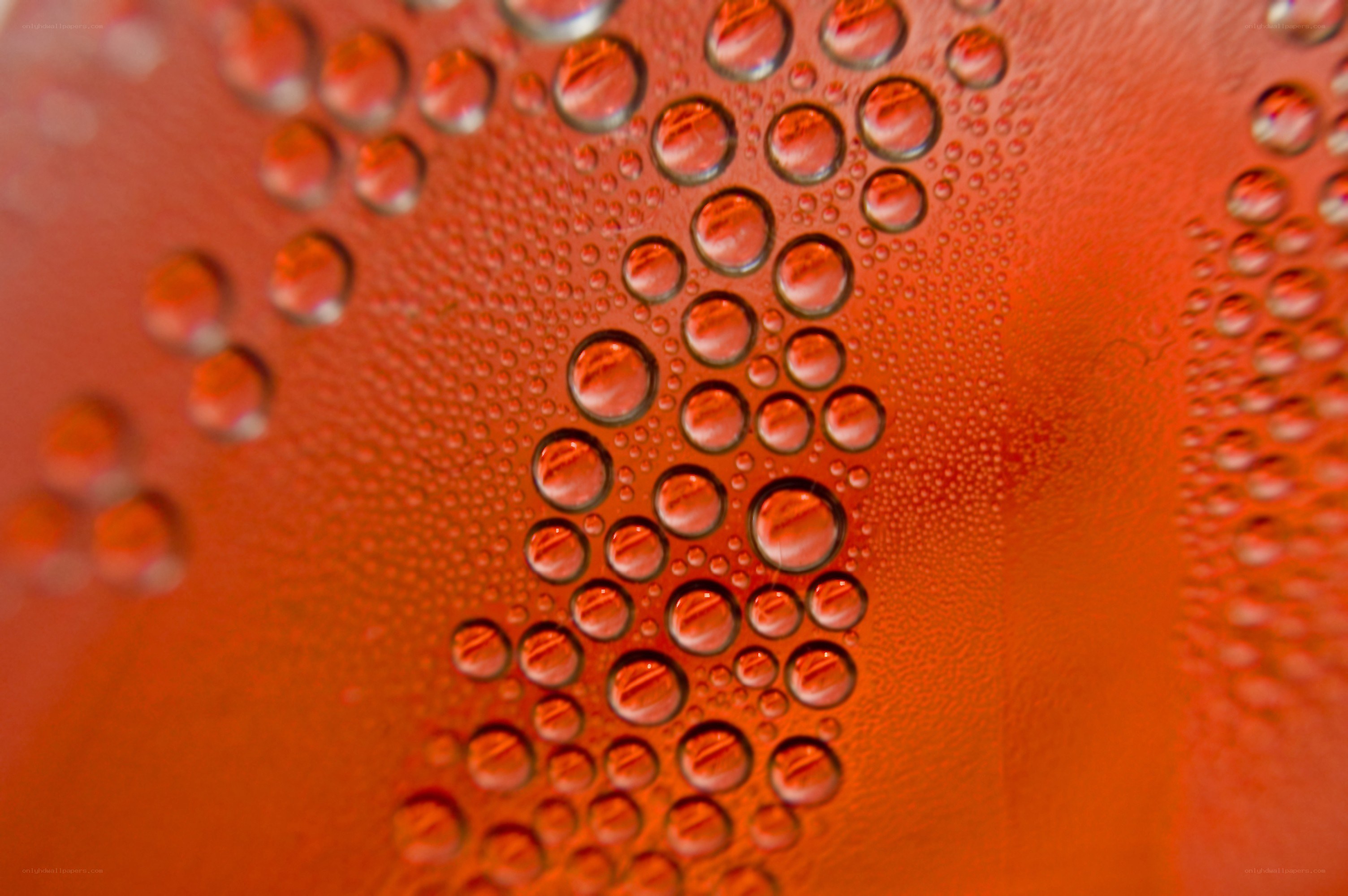 condensation on red surface
